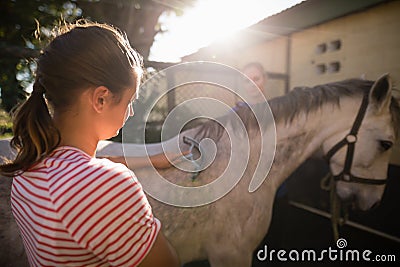 Friends cleaning horse at barn during sunny day Stock Photo