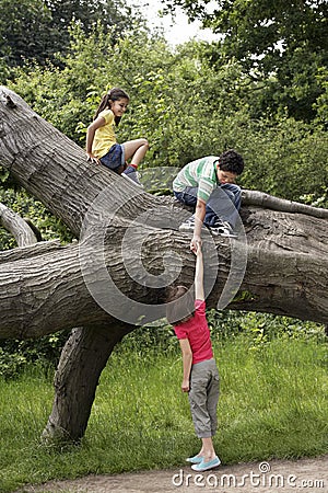 Friends Climbing On Fallen Tree Stock Photo