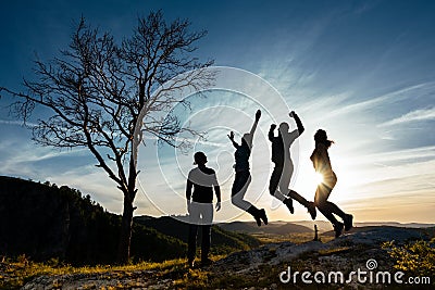 Friends have fun at sunset. Funny friends. A group of people in nature. Silhouettes of friends. Best friend. Friends traveling. Stock Photo