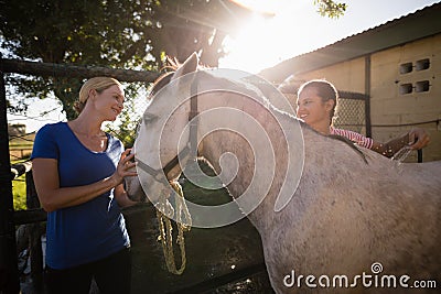 Friends talking while cleaning horse at barn Stock Photo