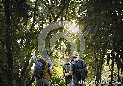 Friends trekking through forest together Stock Photo