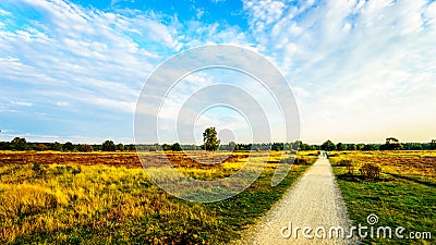 Friends walking through the Ermelose Heide Stock Photo