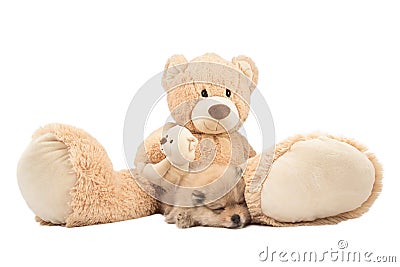 Friendship concept. Small pomeranian dog and teddy bear isolated Stock Photo