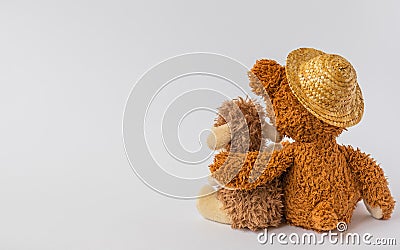 Friendship, teddy bear holding plush sheep in its arms, isolated Stock Photo