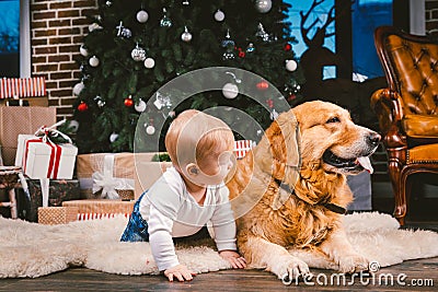 Friendship man child and dog pet. Theme Christmas New Year Winter Holidays. Baby boy on the floor decorated tree and best friend Stock Photo