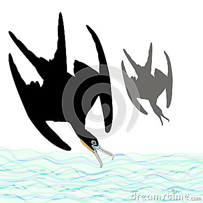 Frigate pelican bird gray silhouette set Vector Illustration