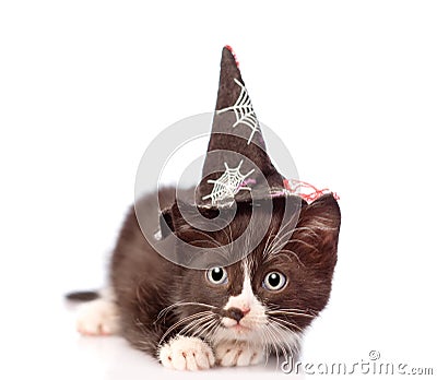 Frightened kitten with witch hat for halloween Stock Photo