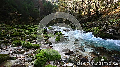 Frischer kalter Gebirgsfluss mit Ton der Natur Frischer kalter Gebirgsfluss mit Ton der Natur