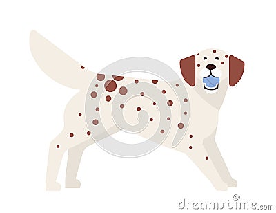 Frisky spotted dog playing with ball. Playful adorable purebred doggy or puppy isolated on white background. Funny cute Vector Illustration