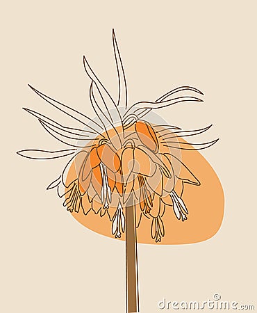 Fritillaria vector linear illustration Cartoon Illustration