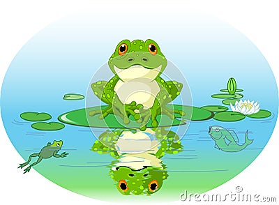 Frog Vector Illustration