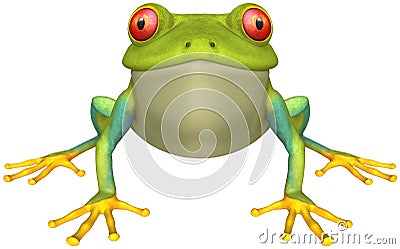 Frog Stock Photo