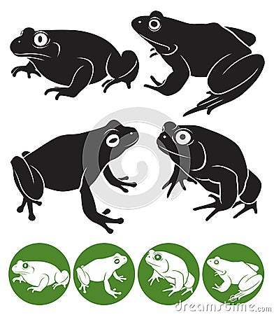 Frog Vector Illustration