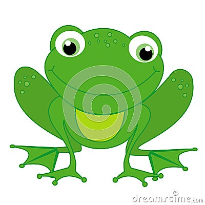 Frog Vector Illustration