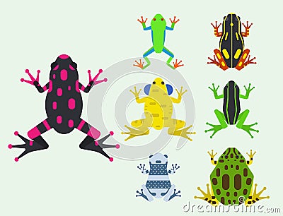 Frog cartoon tropical animal cartoon amphibian mascot character wild vector illustration. Vector Illustration