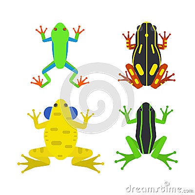 Frog cartoon tropical animal cartoon amphibian mascot character wild vector illustration. Vector Illustration