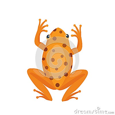 Frog cartoon tropical brown animal cartoon nature icon funny and isolated mascot character wild funny forest toad Vector Illustration