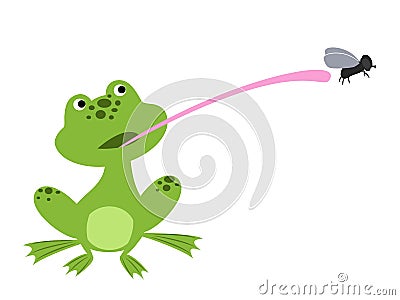 Frog catching fly Vector Illustration