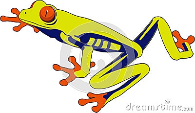 Frog Cartoon Illustration