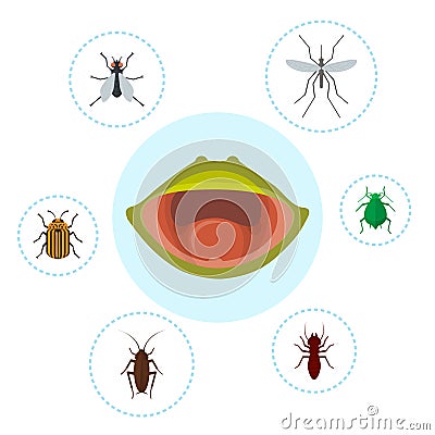 Frog food and nutrition of crocket, moscito, fly and bugs vector illustration. Biology, frogs food chain. Bufo, european Vector Illustration