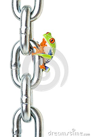 Frog forgot something? Stock Photo