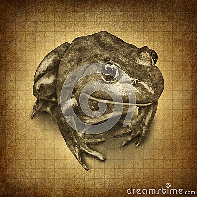 Frog grunge Stock Photo