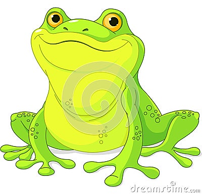 Frog Vector Illustration