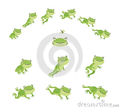 Frog jump. Isolated jumping green frogs, motion process animation. Sequence movement character. Cute cartoon toad leap Vector Illustration