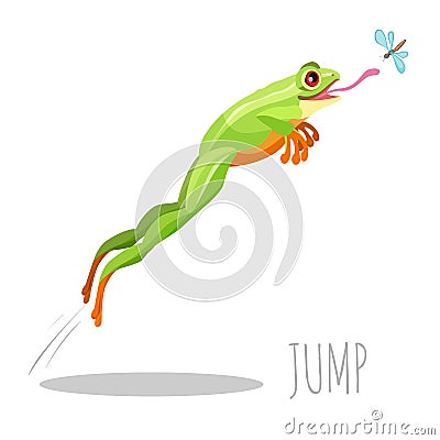 Frog jumping to catch fly isolated on white icon Vector Illustration