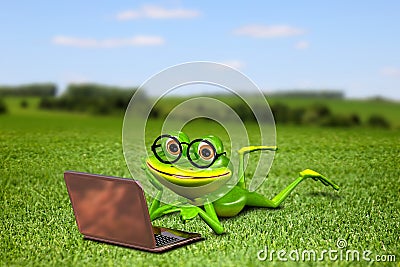 Frog with a laptop on the grass Stock Photo