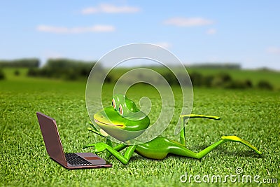 Frog with a laptop on the grass Stock Photo