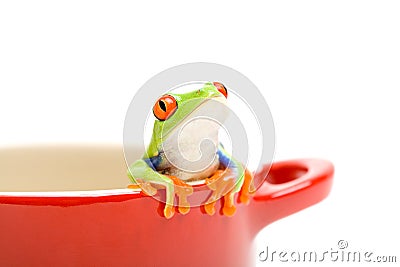 Frog looking out of pot Stock Photo