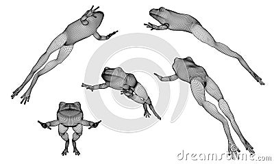 Frog polygonal lines illustration. Cartoon Illustration