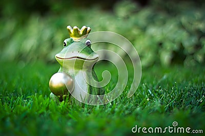 Frog Prince Stock Photo