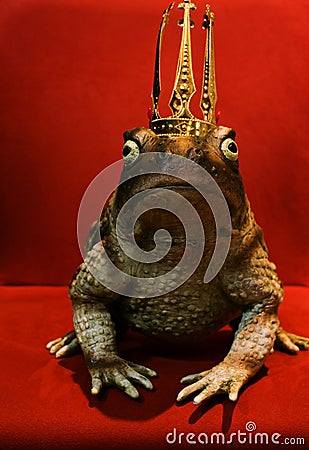 Frog Prince Stock Photo