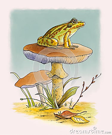 Frog resting on a mushroom Cartoon Illustration