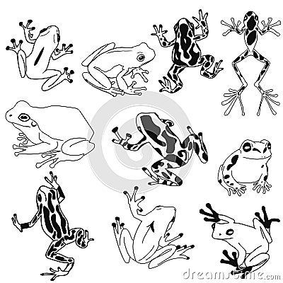 Frog silhouettes icon, tropical frog, SVG Vector Vector Illustration