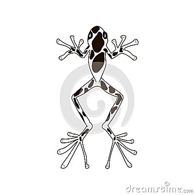 Frog silhouettes vector image black Cartoon Illustration