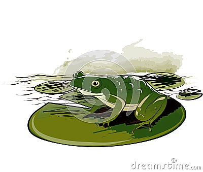 Frog Sitting On Leaf Vector Illustration