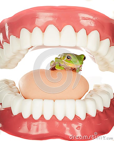 Frog in throat Stock Photo