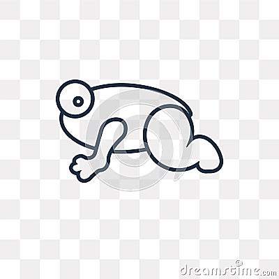 Frog vector icon isolated on transparent background, linear Frog Vector Illustration