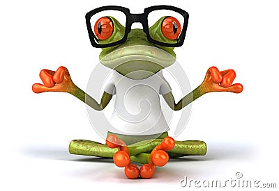 Frog with a white tshirt Stock Photo