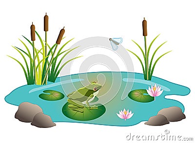 Frog Pond Ecosystem with Cattails Vector Illustration