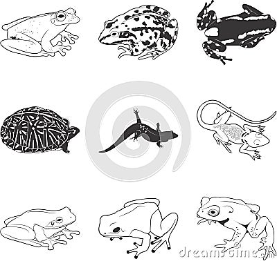 Frogs and lizards Vector Illustration