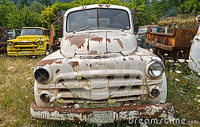 The front of a 1951 Dodge truck parked in a junkyard in Idaho, U Editorial Stock Photo