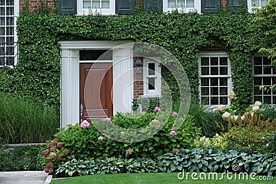 Front door of house surrounded by green vines Stock Photo
