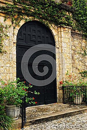 Front Door and ivy Editorial Stock Photo