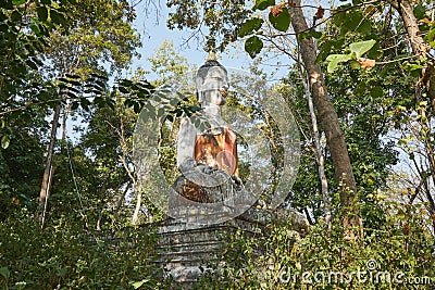 Front Right Meditation Buddha Statue in Forest Editorial Stock Photo