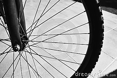 Front Bicycle Tyre Stock Photo