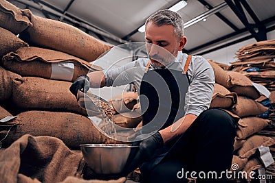 Front view of adult man pouring raw coffee beans in a bawl Stock Photo